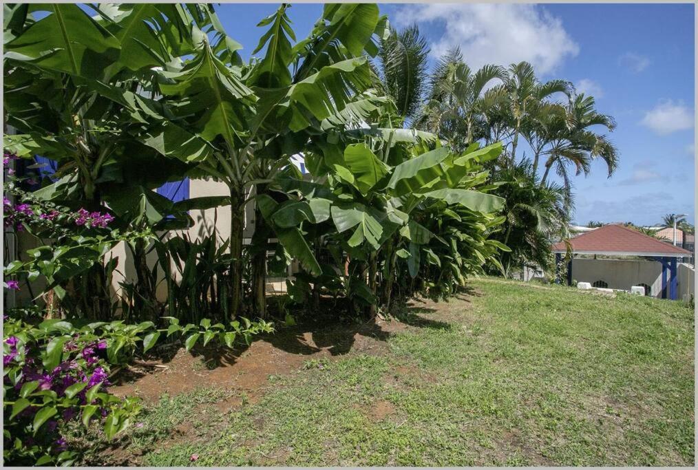 Villa Mango 150 Metres Plage A Pied Sainte-Luce Exteriér fotografie